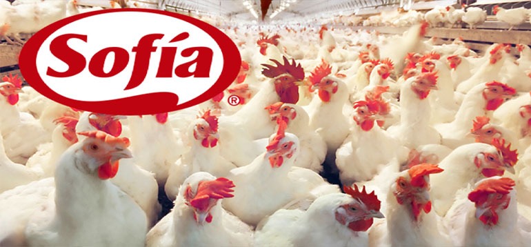 87a86118dbfaf33fb45606ef3ec025fe